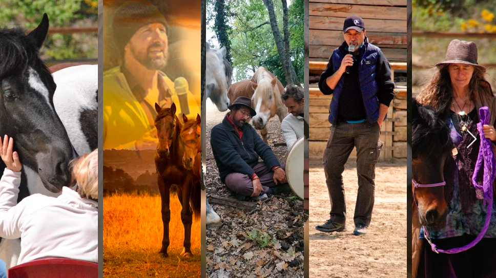 présentation du stage les chevaux au son des accords tolteques