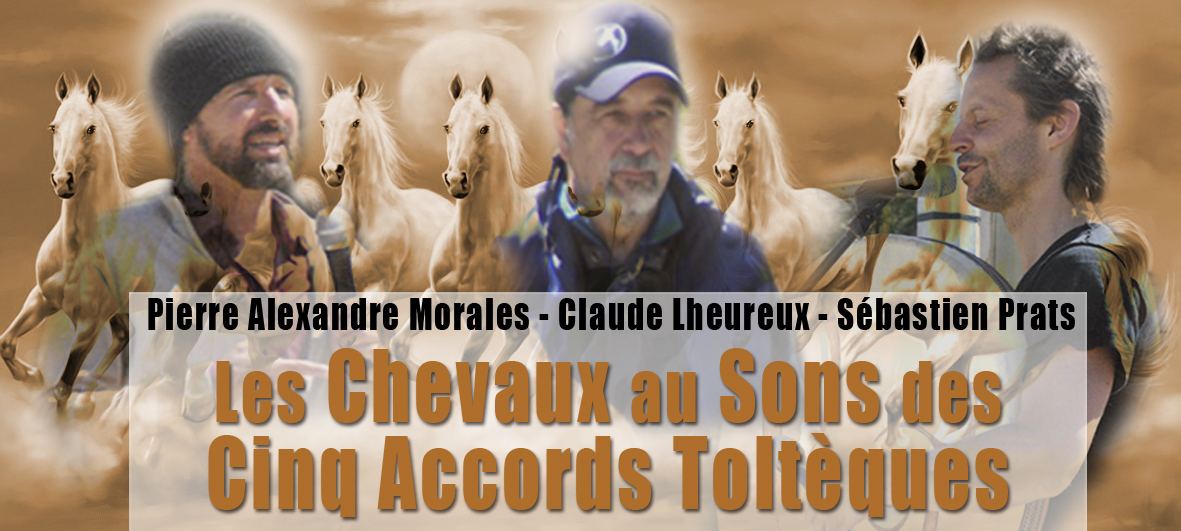 chevaux au son des 5 accords tolteques