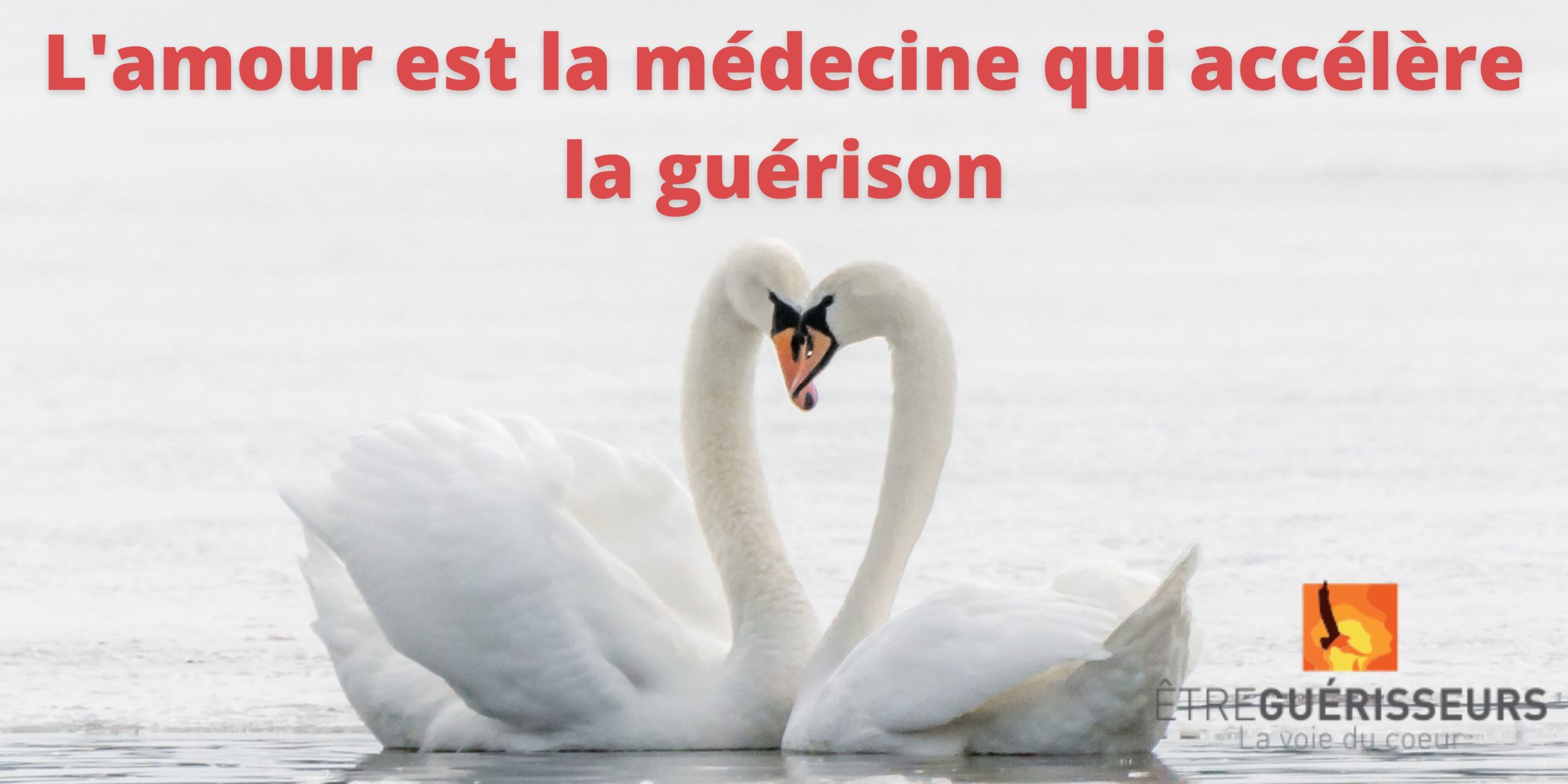 medecine tolteque